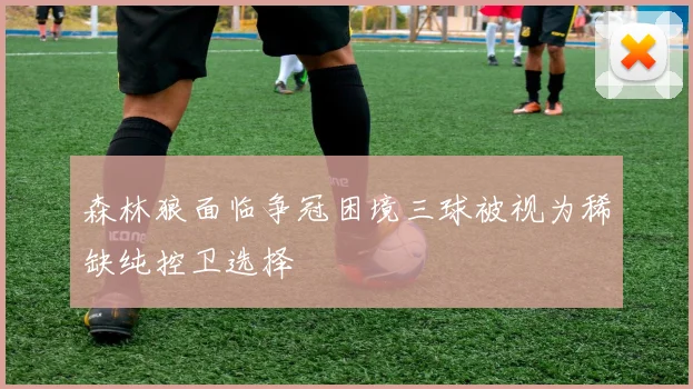 森林狼面临争冠困境三球被视为稀缺纯控卫选择