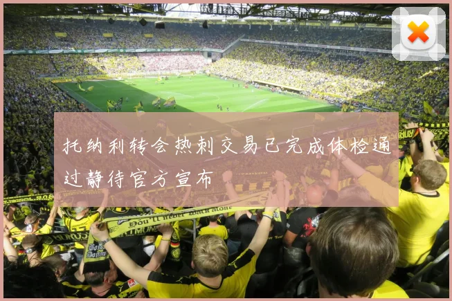 托纳利转会热刺交易已完成体检通过静待官方宣布